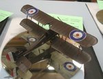 Be 12_7769.JPG
