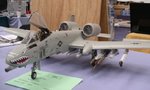 A-10A_7704.JPG