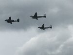 IMG_3310.JPG