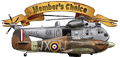 Heli_MC.gif