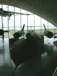 blackbird_111.jpg