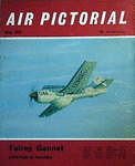 gannet_161.gif