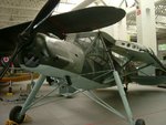 storch_137.jpg