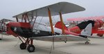 0dh_tiger_moth_443.jpg