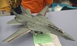 F14A_7703.JPG