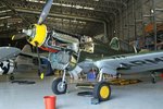 Duxford 2nd July 2005 P40.jpg