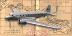 SiggyFly-sm.jpg
