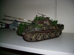 zzPanthera.jpg