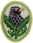 soren ava.gif