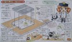 Box Bottom_9507.JPG
