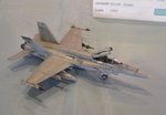 F-18 Aussie Hornet_0590.JPG