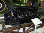 Griffon 57a.jpg