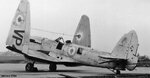 VP441.jpg