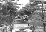 On Safari 1978.jpeg
