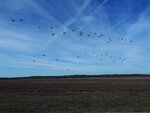 IMG-20190920-WA0016.jpg
