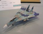 F-14 Tomcat_9949.JPG