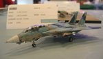F-14 Tomcat_9952.JPG