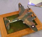 Mosquito_0470.JPG