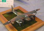 Mosquito_0472.JPG