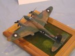 Mosquito_0487.JPG