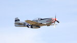 Mustang2.JPG