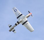 Mustang.JPG