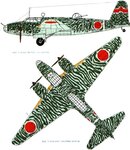 Ki-21-IIb 98th Sentai, 2nd Chutai, color 2 view.jpg