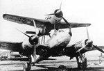 mistel3_01.jpg