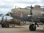 B17F Pink Lady 3.JPG