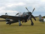 Bearcat.JPG