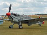 Buchon 3.JPG