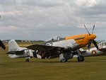 P51 Mustang Ferocious frankie 1.JPG