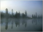 Morning Fog Over Yellowstone River, Wyoming.jpg