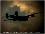 Flight_LBG-800.jpg