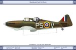 FMk1_GB_264Sqn_Dev.jpg