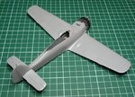 Wings_0858.JPG