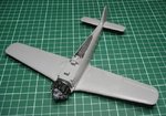 Wings_0860.JPG