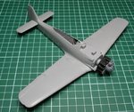 Wings_0863.JPG
