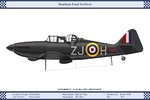 NFMk1_GB_96Sqn_Dev.jpg