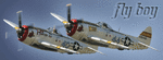 p47flyboy1.gif
