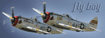 p47flyboy2.gif