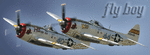 p47flyboy3.gif