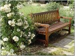 A Place to Relax.jpg