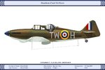 FMk1_GB_141Sqn_Dev.jpg
