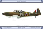 FMk1_Poland_307Sqn_1_Dev.jpg