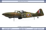 FMk1_Poland_307Sqn_2_Dev.jpg