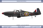 NFMk1_Poland_307Sqn_1_Dev.jpg