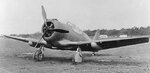 North American P-64.jpg