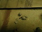 crashed B-17 3.jpg crashed B-17 3.jpg