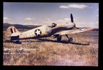 Bf109G-2-4 Black14 Catured-US  2 (Medium).jpg